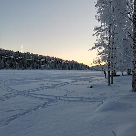 Talvijaerven Helmi كوسامْوُ