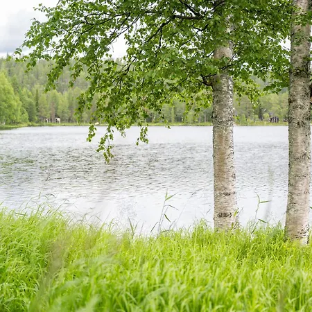 度假居 Talvijaerven Helmi 库萨莫